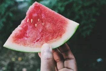 Watermelon shown in fresh flesh context