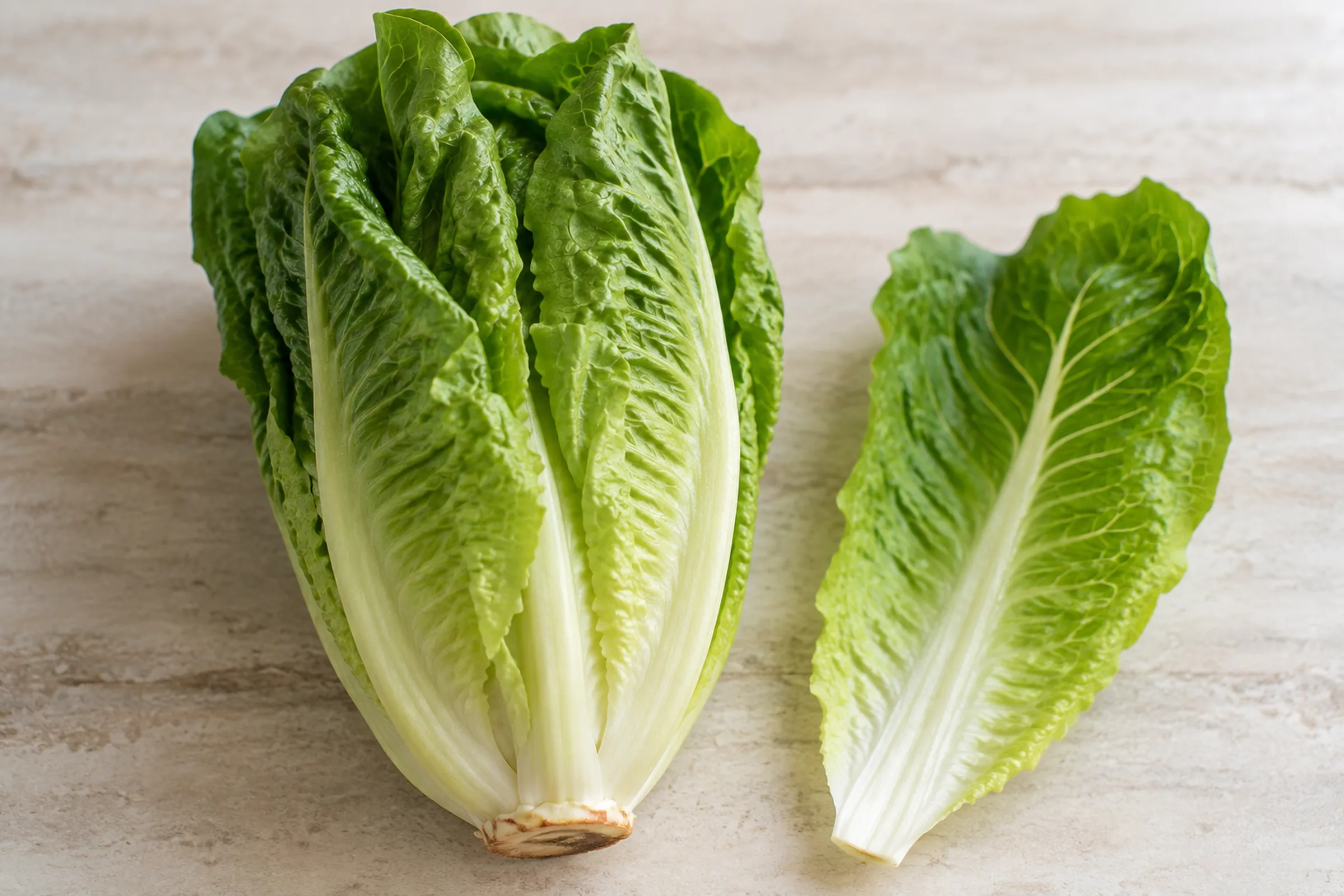A whole romaine lettuce head with elongated crisp green leaves